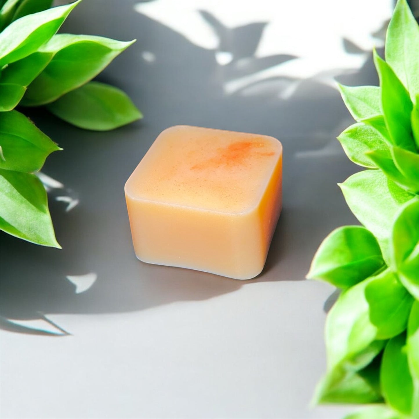 Boîte de 4 Fondants parfumés