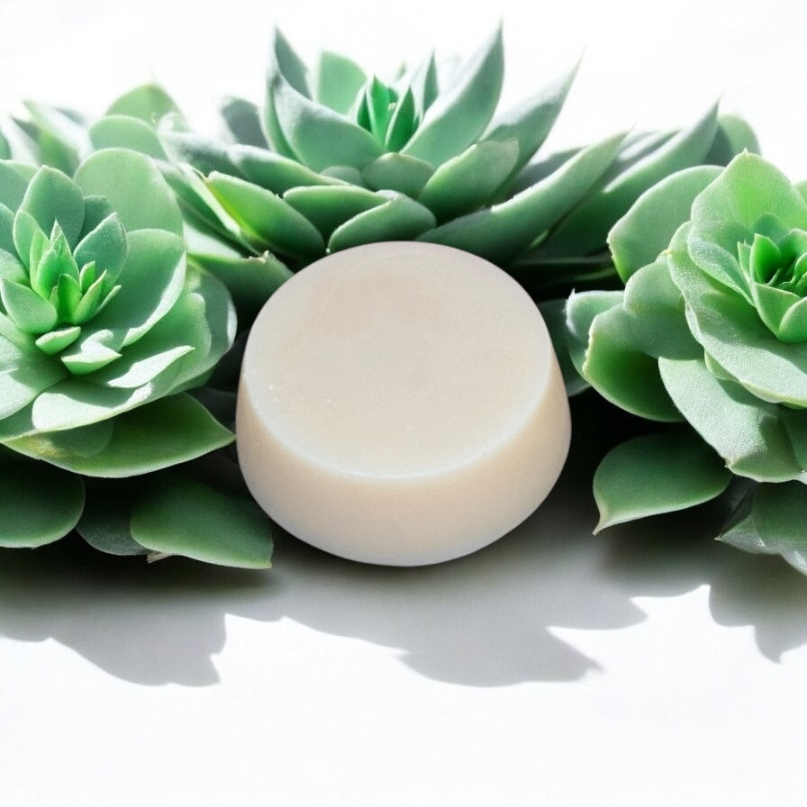Fondants parfumés 1 Rond