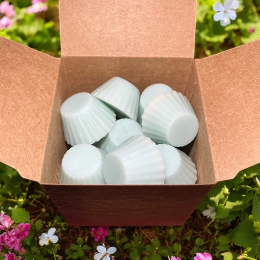 Boîte de Fondants parfumés Cupcake
