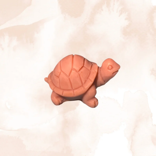 Fondants parfumés 1 Tortue