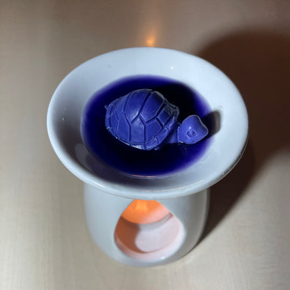 Fondants parfumés 1 Tortue