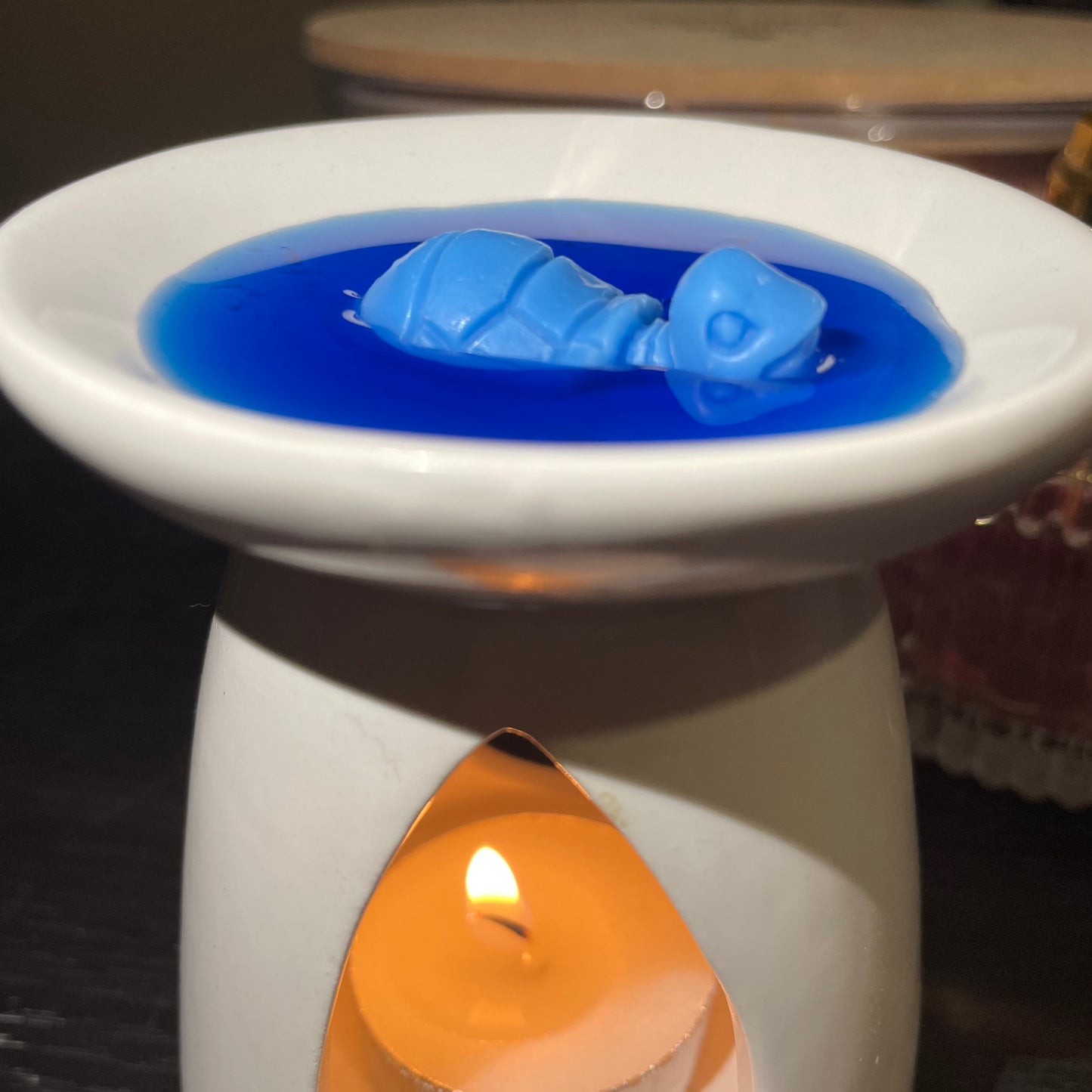 Fondants parfumés 1 Tortue