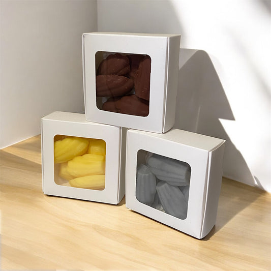 Assortiment de petits coquillages