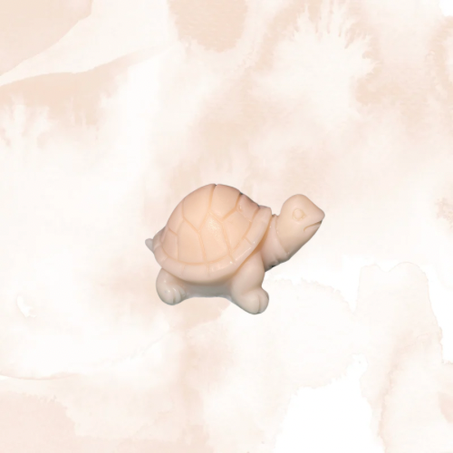 Fondants parfumés 1 Tortue