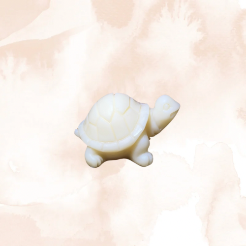 Fondants parfumés 1 Tortue