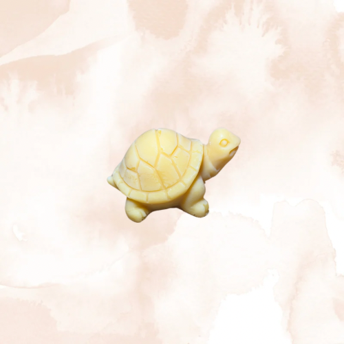 Fondants parfumés 1 Tortue