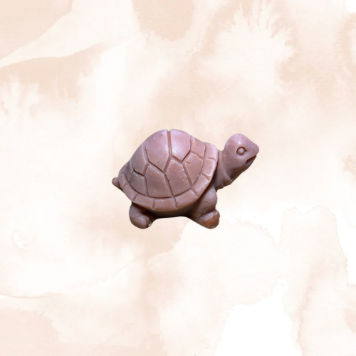 Fondants parfumés 1 Tortue