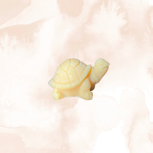 Fondants parfumés 1 Tortue