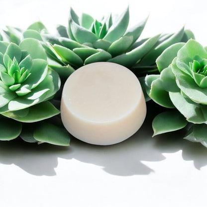Fondants parfumés 1 Rond