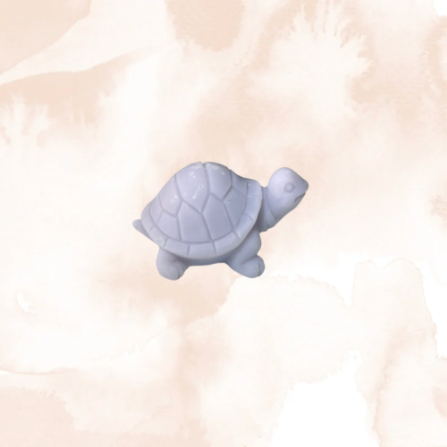 Fondants parfumés 1 Tortue