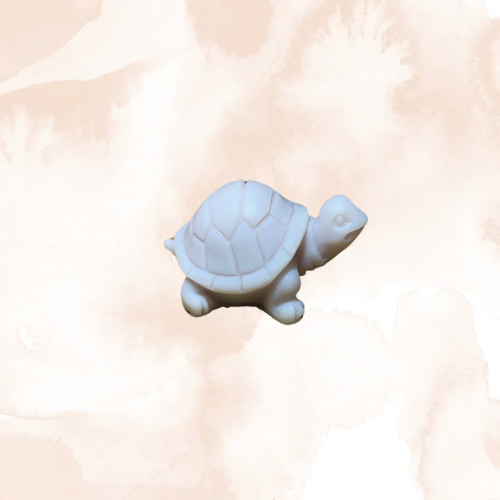 Fondants parfumés 1 Tortue