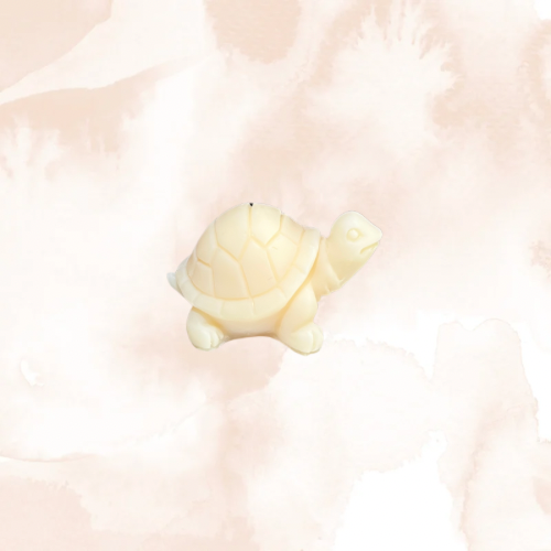 Fondants parfumés 1 Tortue