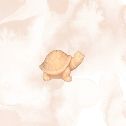 Fondants parfumés 1 Tortue