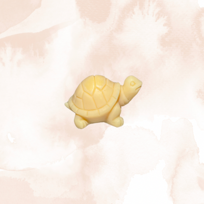 Fondants parfumés 1 Tortue