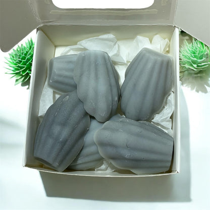 Assortiment de petits coquillages